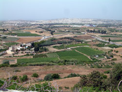 Patchwork of cultivated fields near Mdina Malta